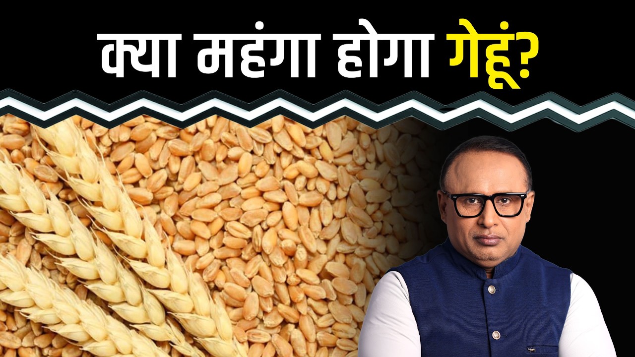 Export खोलने का गेहूं पर क्या असर? Watch with Anshuman Tiwari