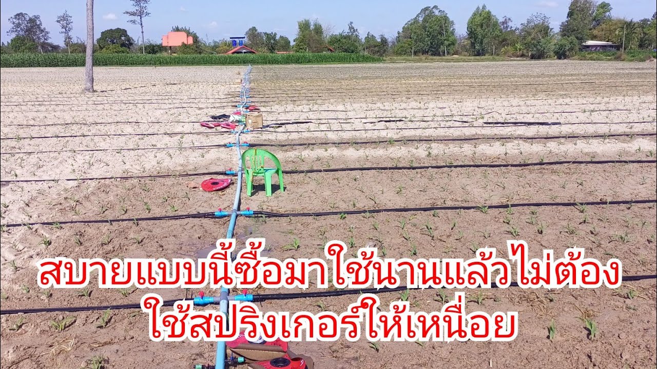 สายน้ำพุ่ง