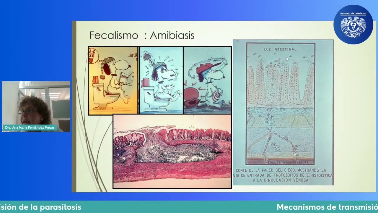 Conferencia Más Salud: Mecanismos de transmisión de la parasitosis