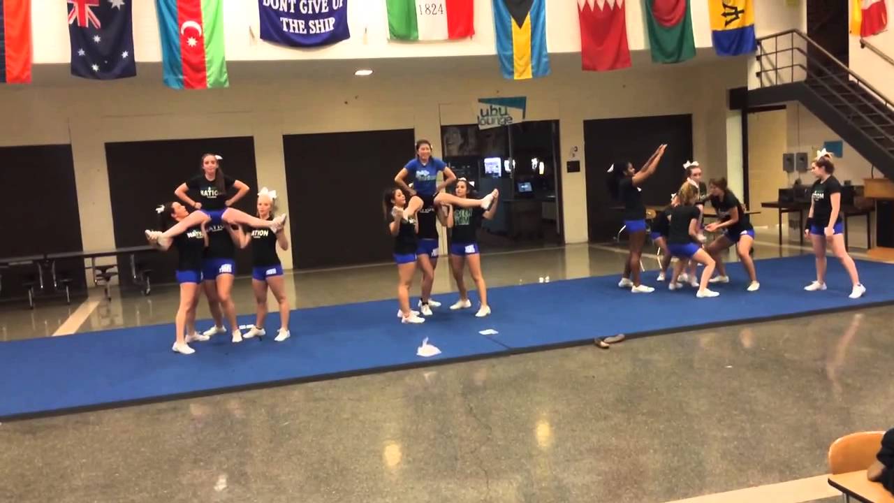 stunt teddy bear