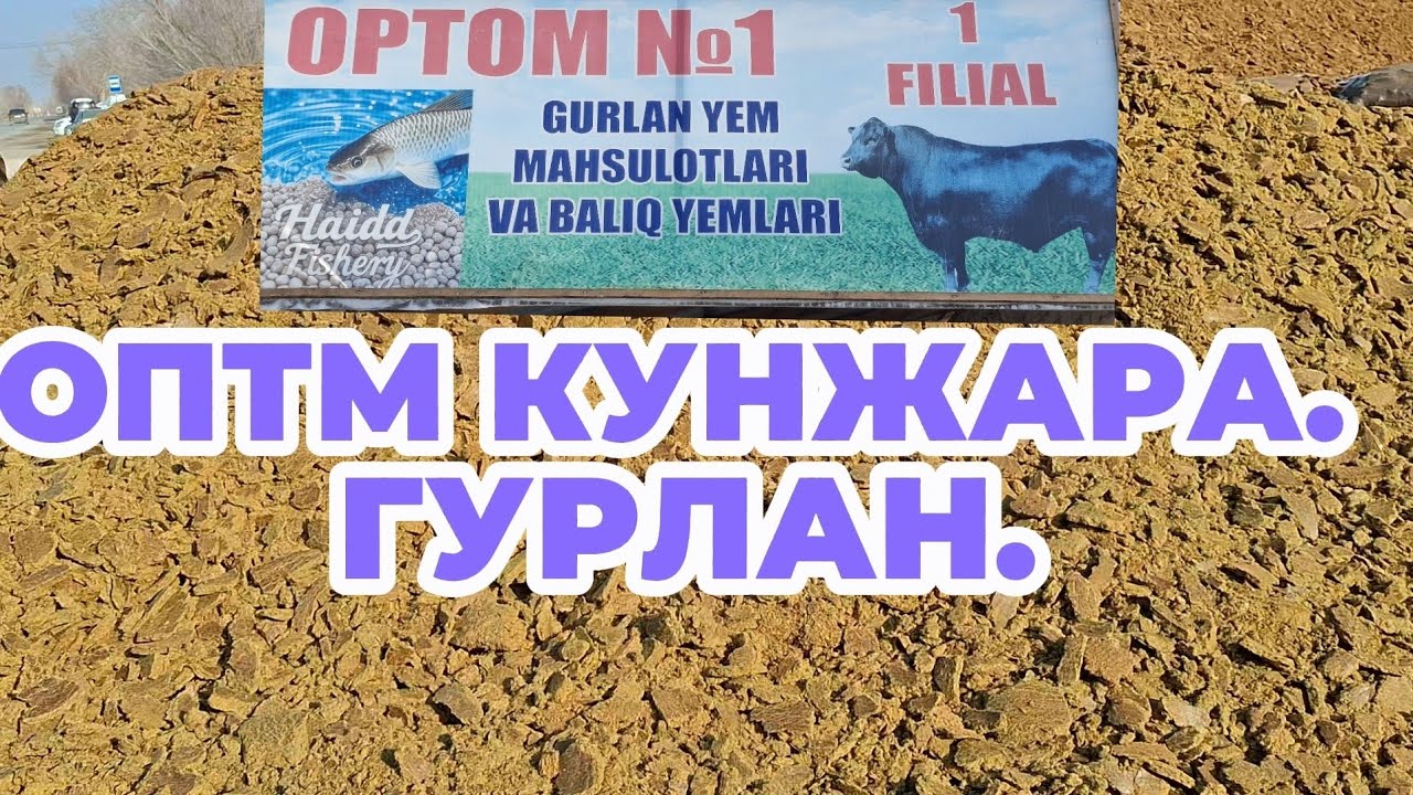 28-ЯНВАР ГУРЛАН ОПТМ КУНЖАРА ЯАНГИ НАРХЛАР БИЛАН  ТАНИШИНГ