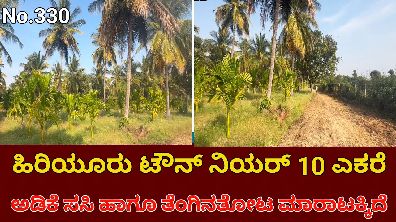 ಹಿರಿಯೂರು ಟೌನ್ ಸಮೀಪ 10 ಎಕರೆ ಅಡಿಕೆ ಸಸಿ & ತೆಂಗಿನ ತೋಟ 🌴 | Golden Investment Opportunity 🔥