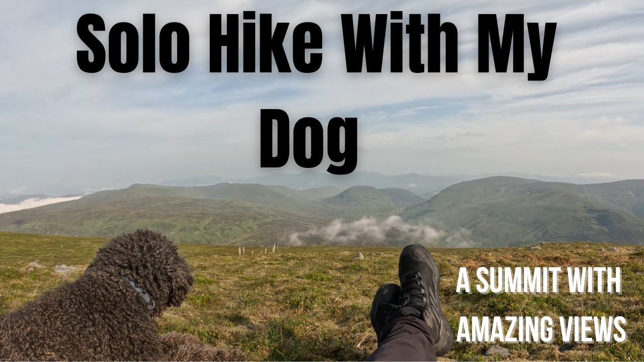 Ben Chonzie | Munro #4 – Early morning hike with My Dog
