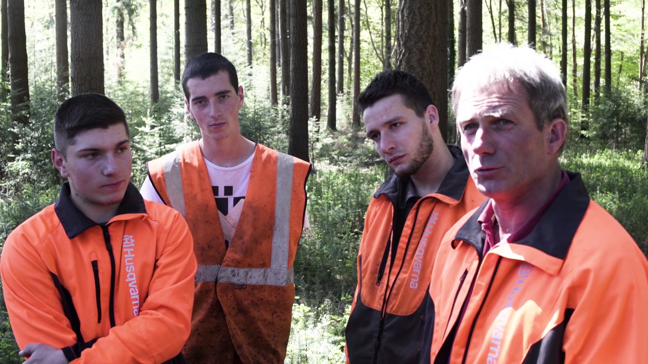 Les métiers de la forêt