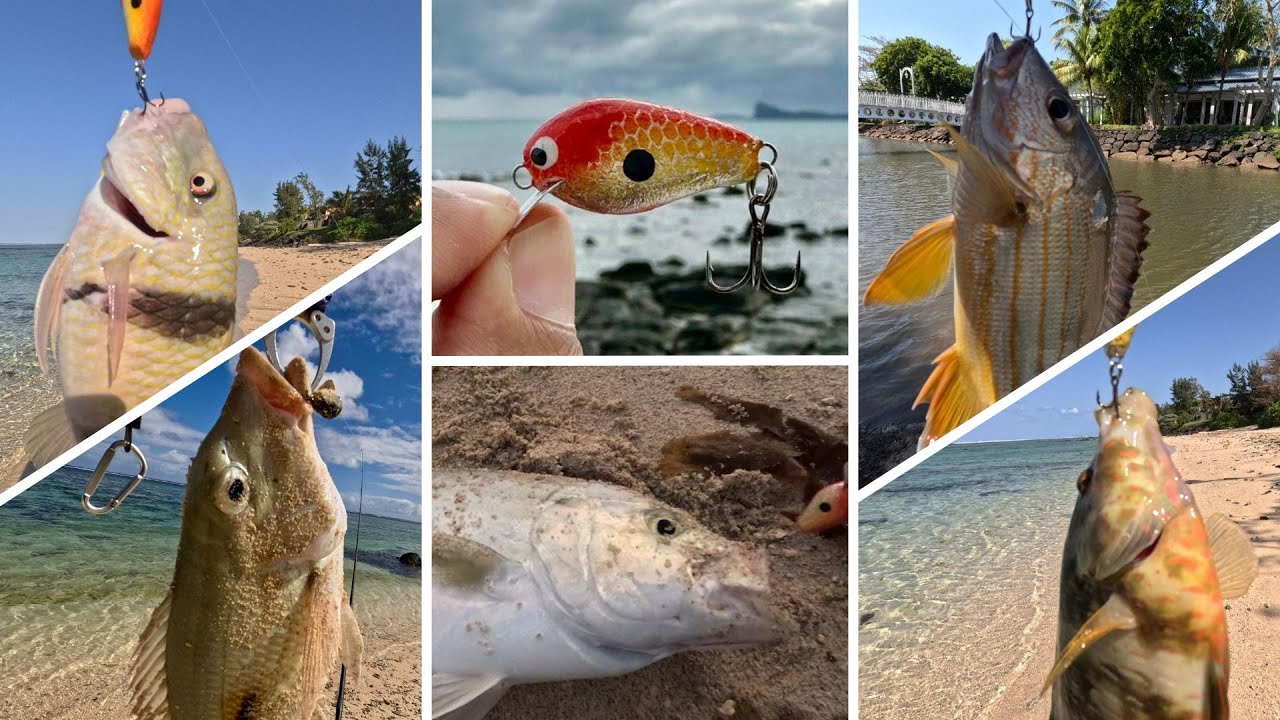 A homemade lure that ACTUALLY works on different species.. Fishing beach Mauritius 2025