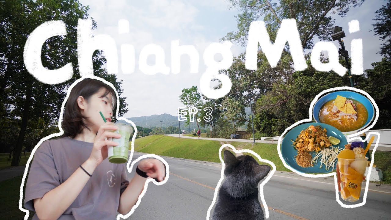 어떻게 흘러가는지 모르겠는 치앙마이 마지막 여행기 (🇹🇭치앙마이 EP.3) | Huan Kung Kum, 치앙마이 대학교, Cinder and Smoke, 싼티탐 주류점