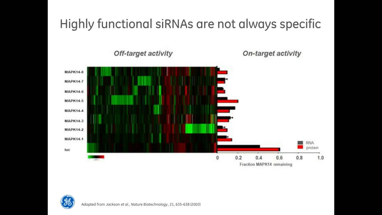 Louise Baskin - Getting Started with siRNA Practical Considerations & Recommendations Webinar