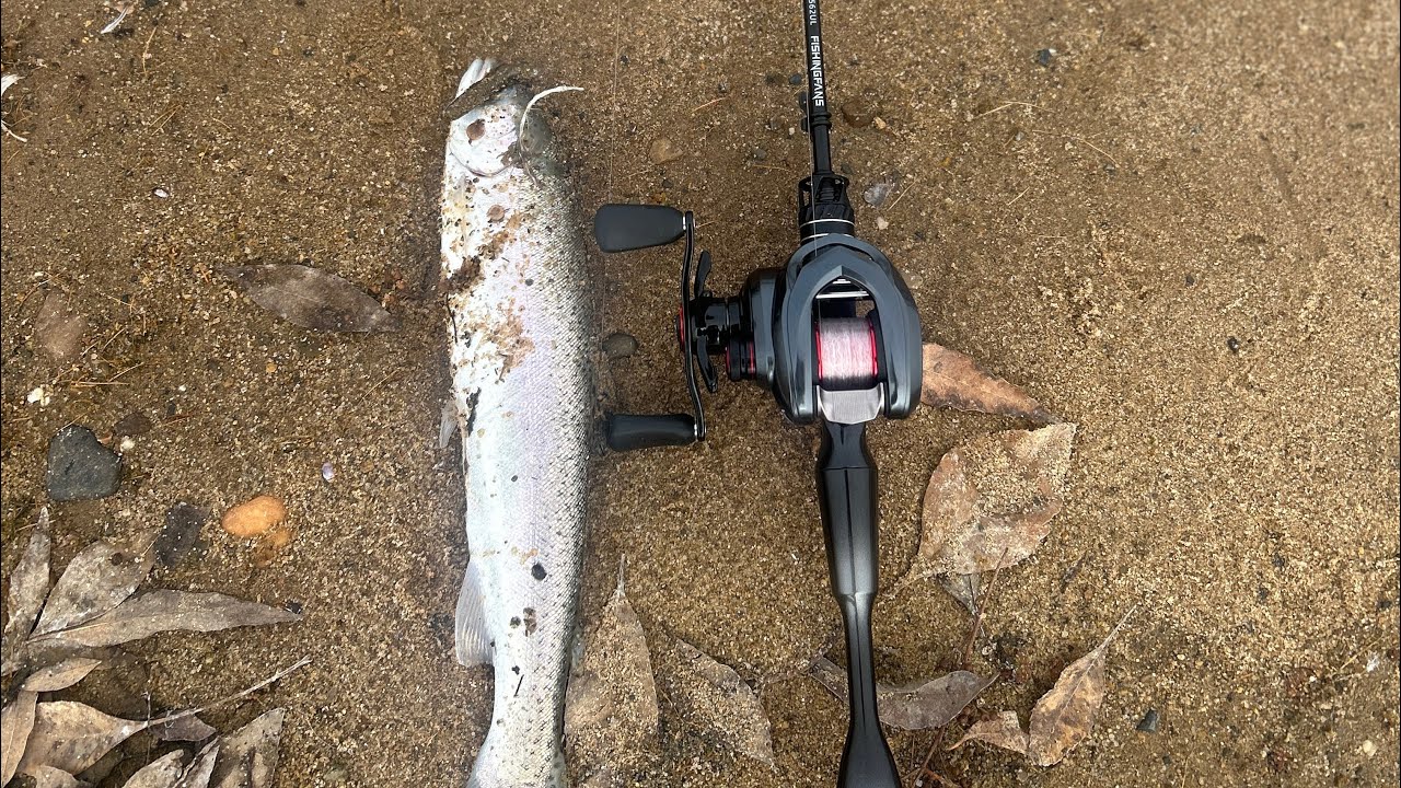 Goodbye Lake Yosemite