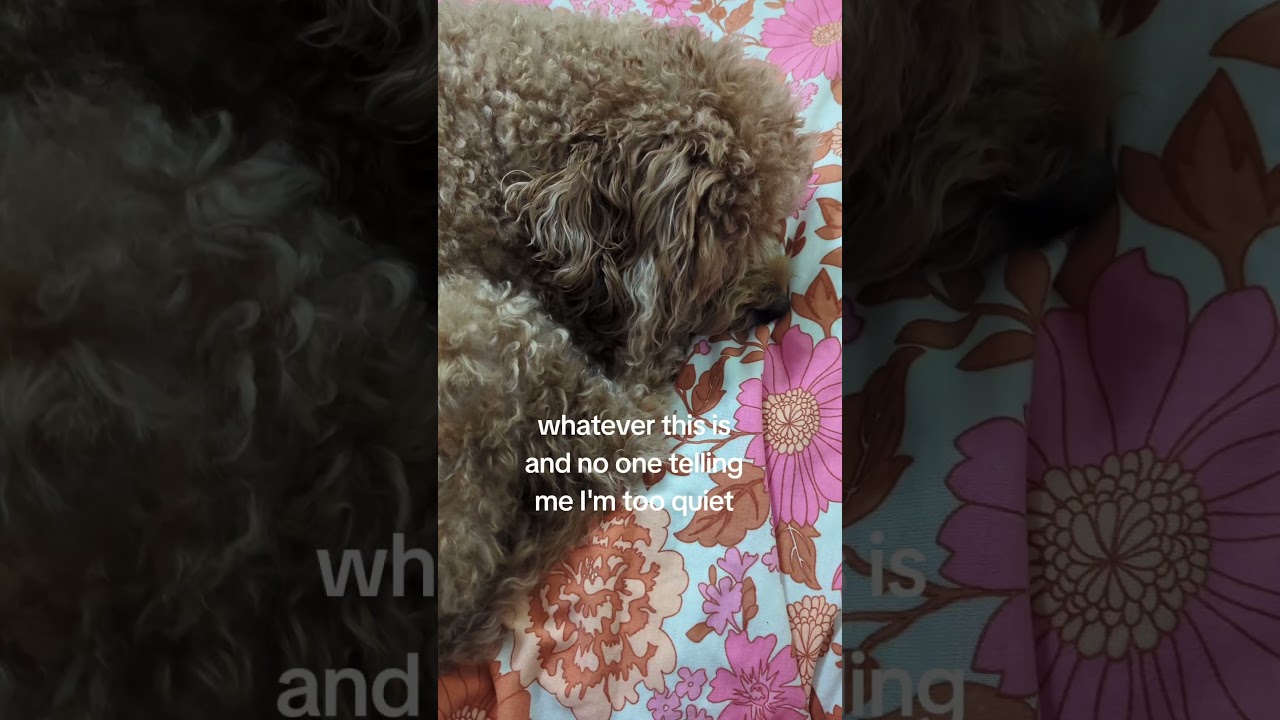 loving this song so much! #artistlife #artcollector #minivlog #snippets #edit #artistblog #shorts