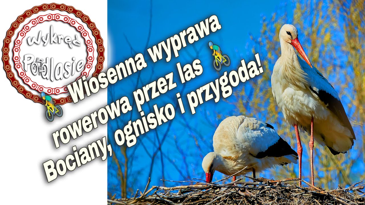 🚴‍♂️ Nieznany szlak 
