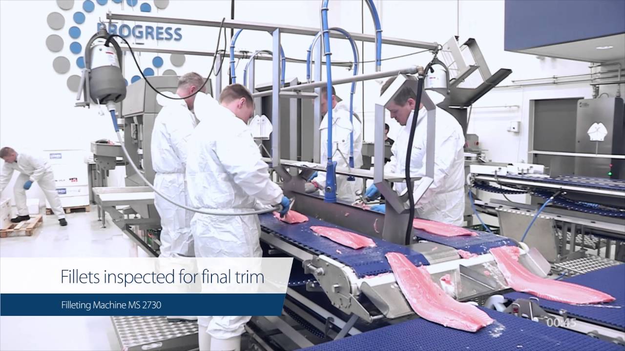 Filleting Machine MS 2730 – Unique filleting with trim cuts