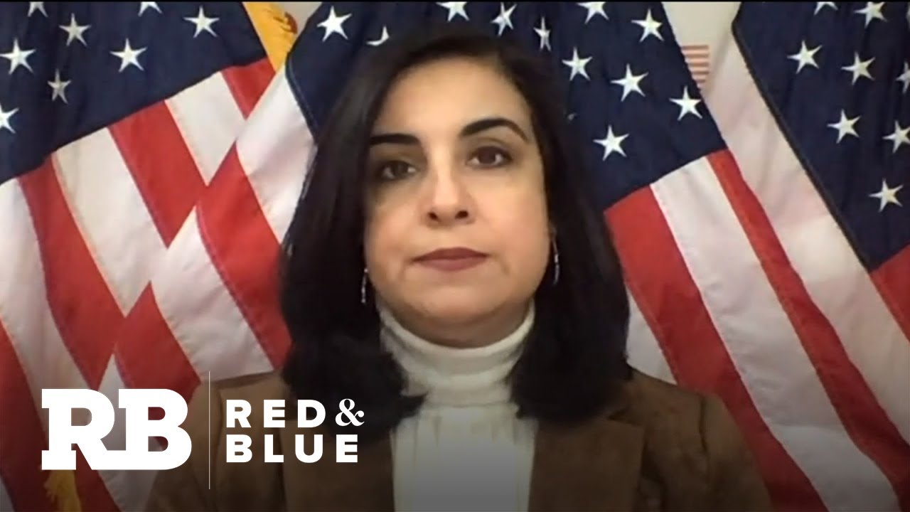 Rep.-elect Nicole Malliotakis on NYC's COVID response and flipping her district red