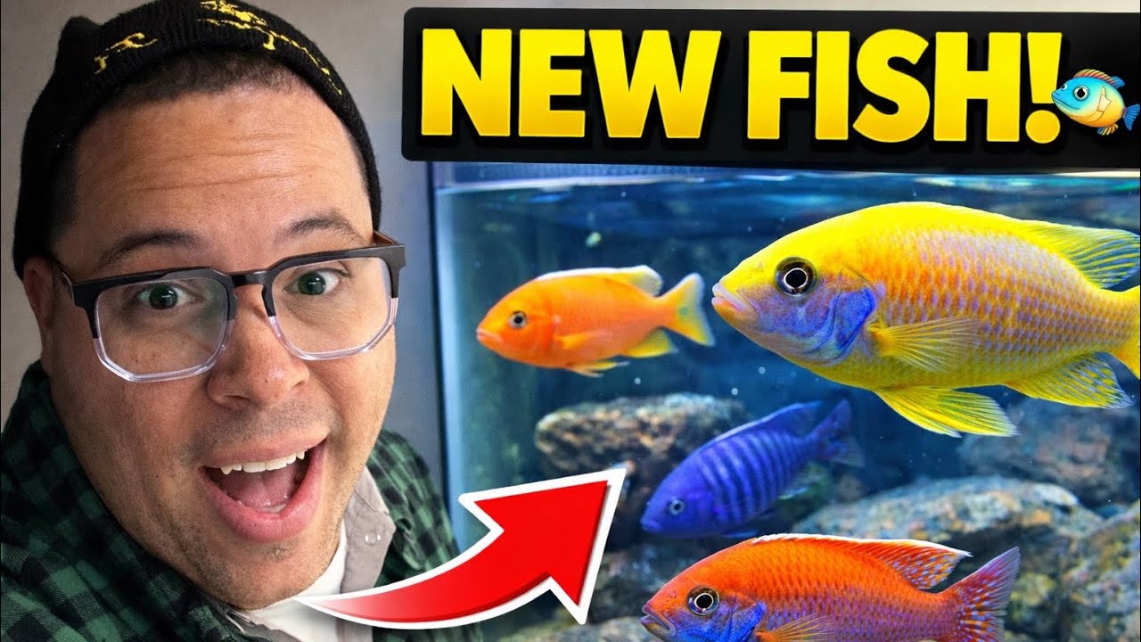 You Won’t Believe What I Got at This Fish Auction