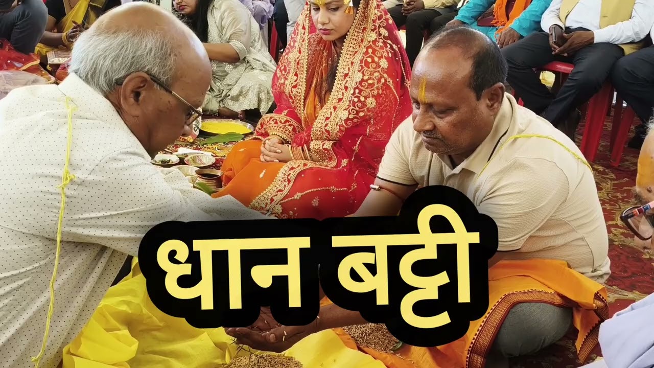 धान बट्टी करते हुवे दोनों समधी 🙏🙏#trending #wedding #viral #vlog #subscribers #foryou #instagram 
