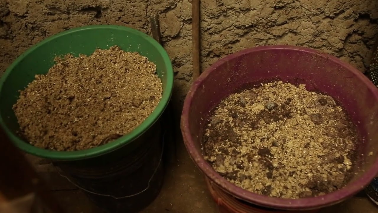 UMUSHINGA W'UBWOROZI BW'ISAZI BUTANGA IFUMBIRE N'IBIRYO BY'AMATUNGO.