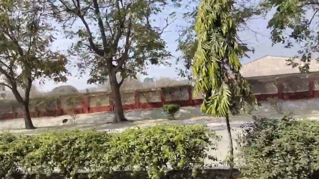 Dera Radha Soami satsang Beas viral videos 