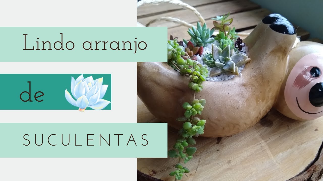 Como fazer arranjo fofo de suculentas em vaso pendente.