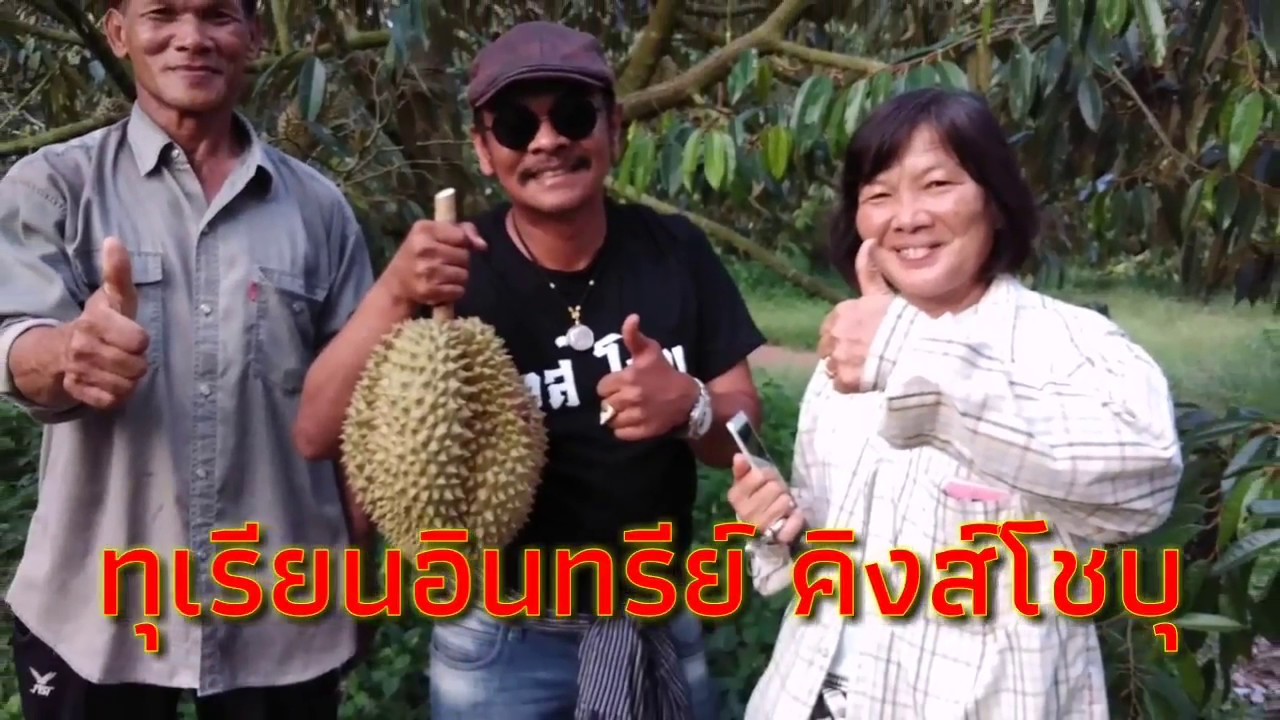 ทุเรียนอินทรีย์ระยอง สวนพี่มานิต // by อ.กริช 097-2475525