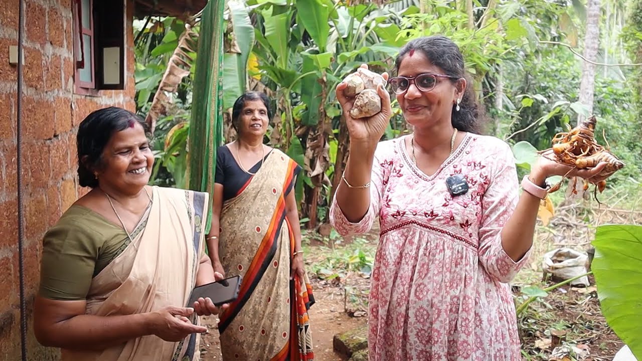 അമ്മയുടെ വീട്ടിലെ അപൂർവങ്ങളിൽ അപൂർവം കാഴ്ചകൾ!🔥| Family Home Tour | Cheerulli Media