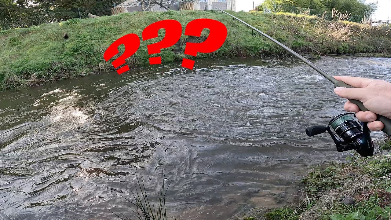 Une CANNE à pêche, un BOUCHON, vais-je PÊCHER de la truite, du gardon, dans cette petite rivière ?