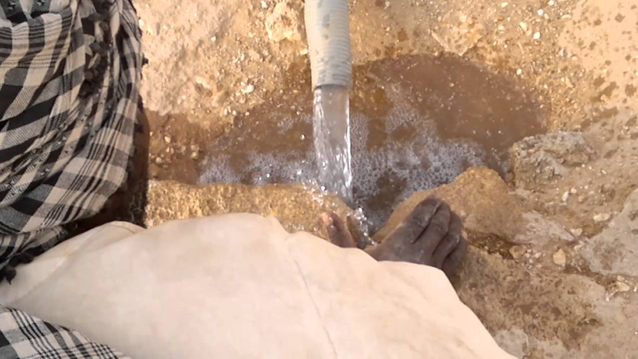 صيد ضبان سوداني
