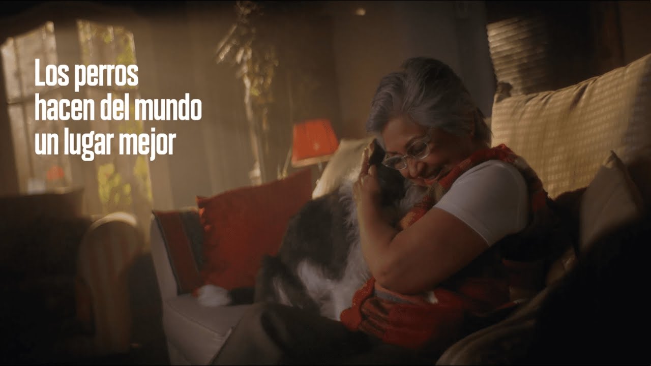 Alimentar a un perro es alimentar a un mundo mejor