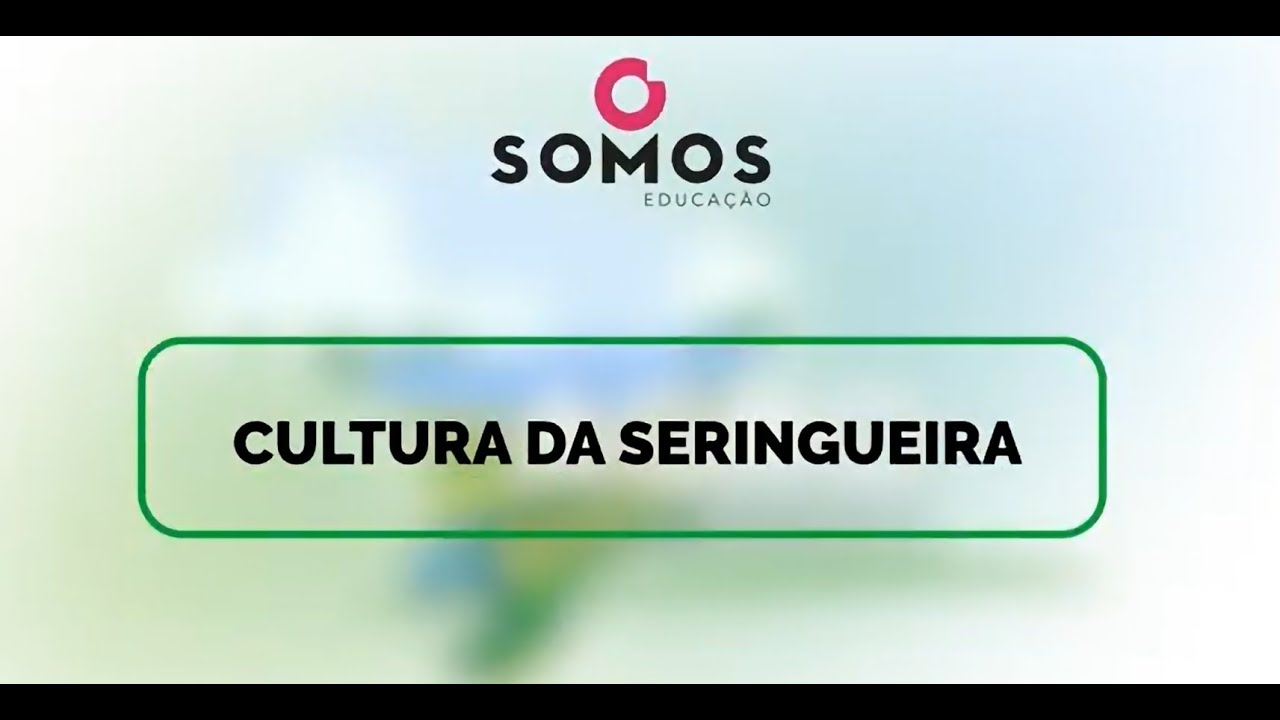 CULTURA DA SERINGUEIRA
