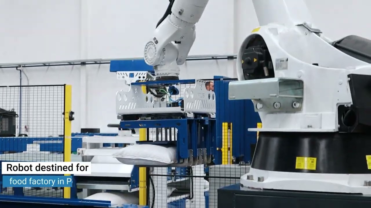 Bag palletizing robot with 2 arms | Moves 50 kg bags 🚀.