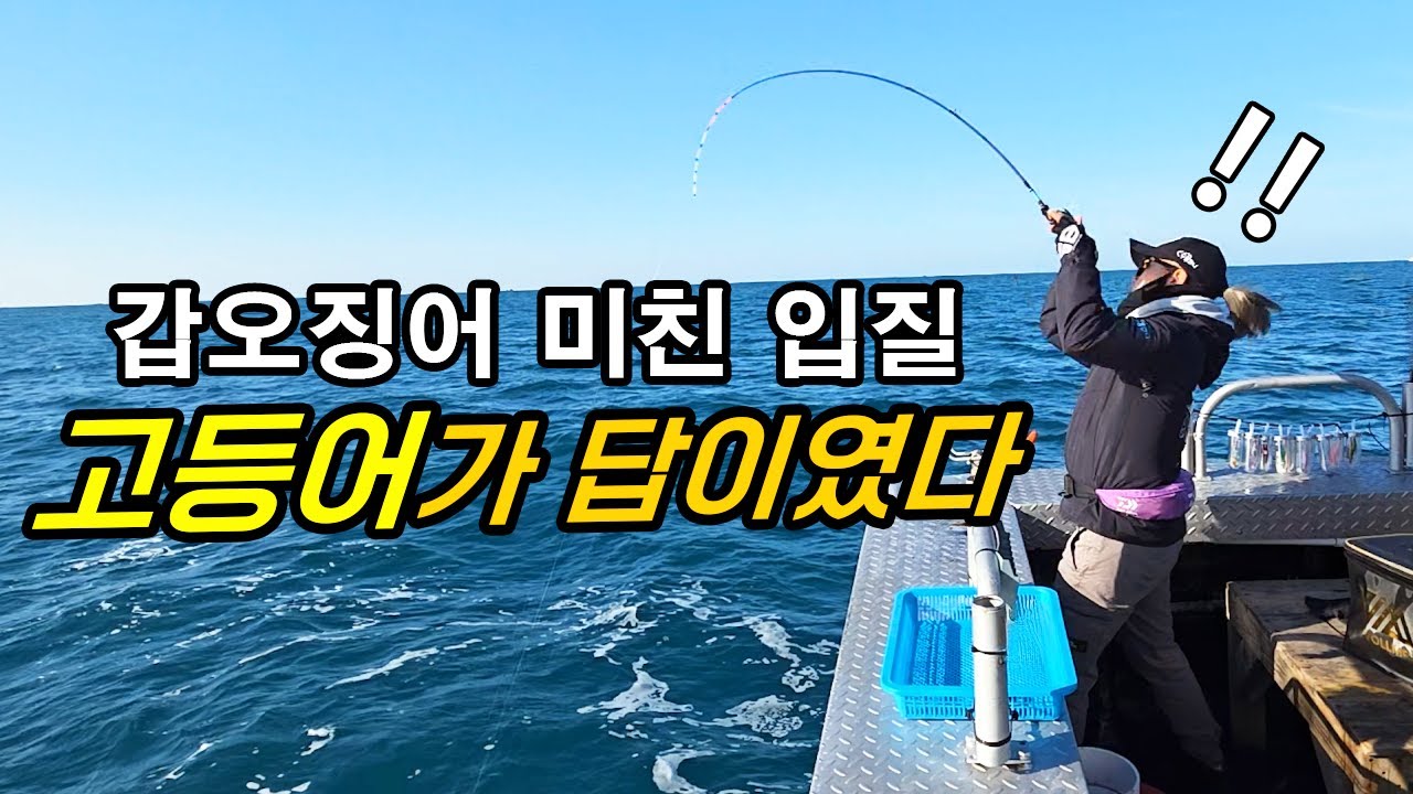 이 채비 미친 건가요!? 단 1개만 있으면 갑오징어 타작합니다!!!