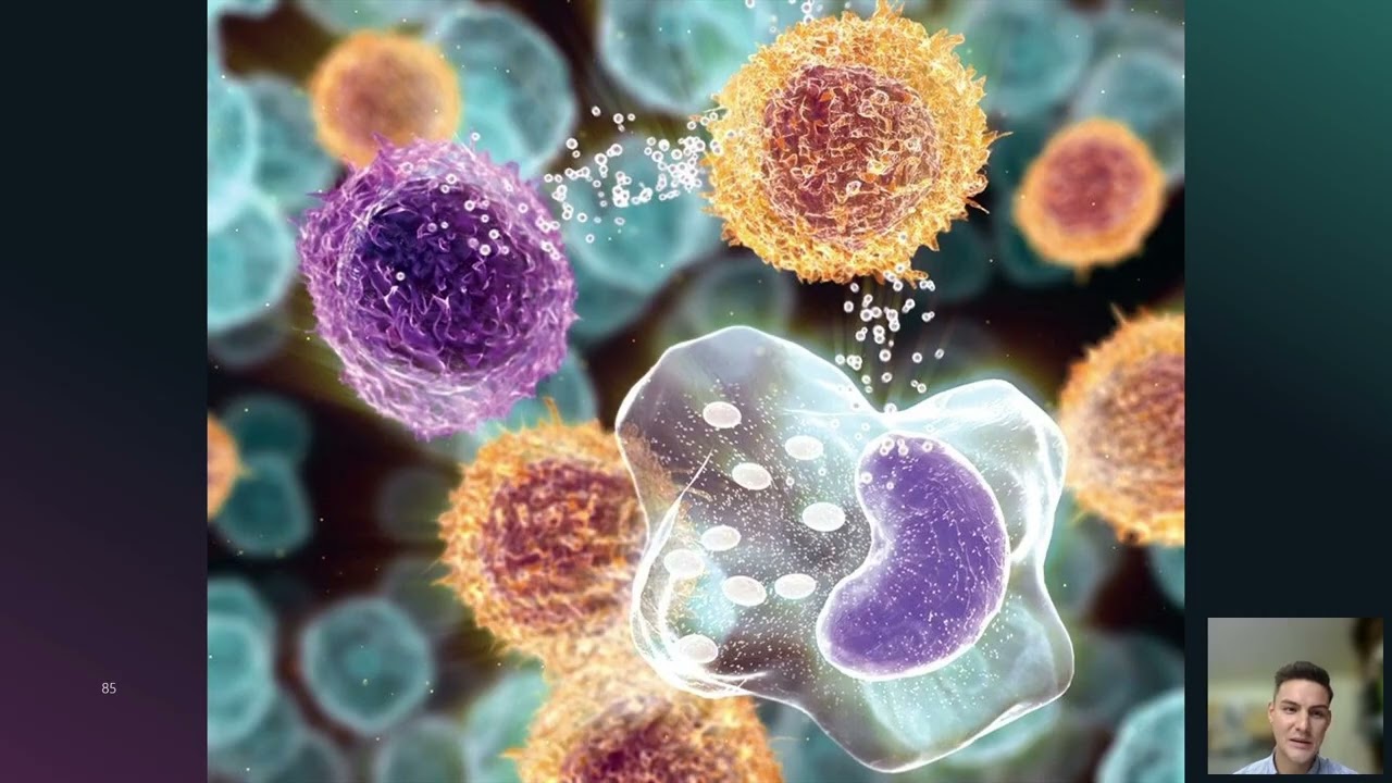 CAR T cell therapy: The Australian patient experience- National myeloma month 2024