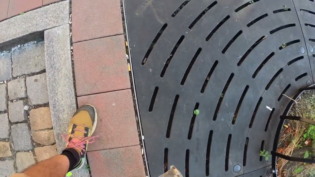 Cleanup 384 | Fürth Marienstraße