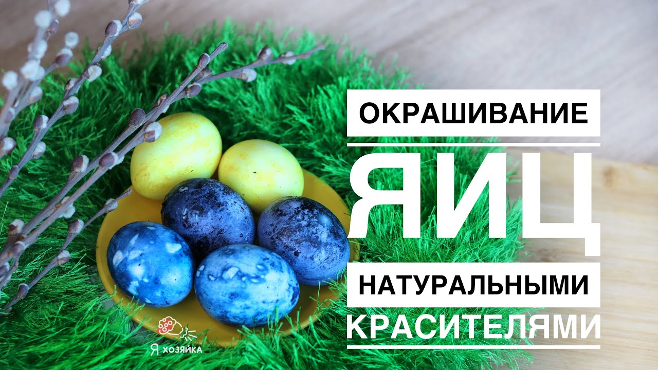 Как покрасить яйца на Пасху? 3 ОРИГИНАЛЬНЫХ способа покраски яиц натуральными красителями 🐣.