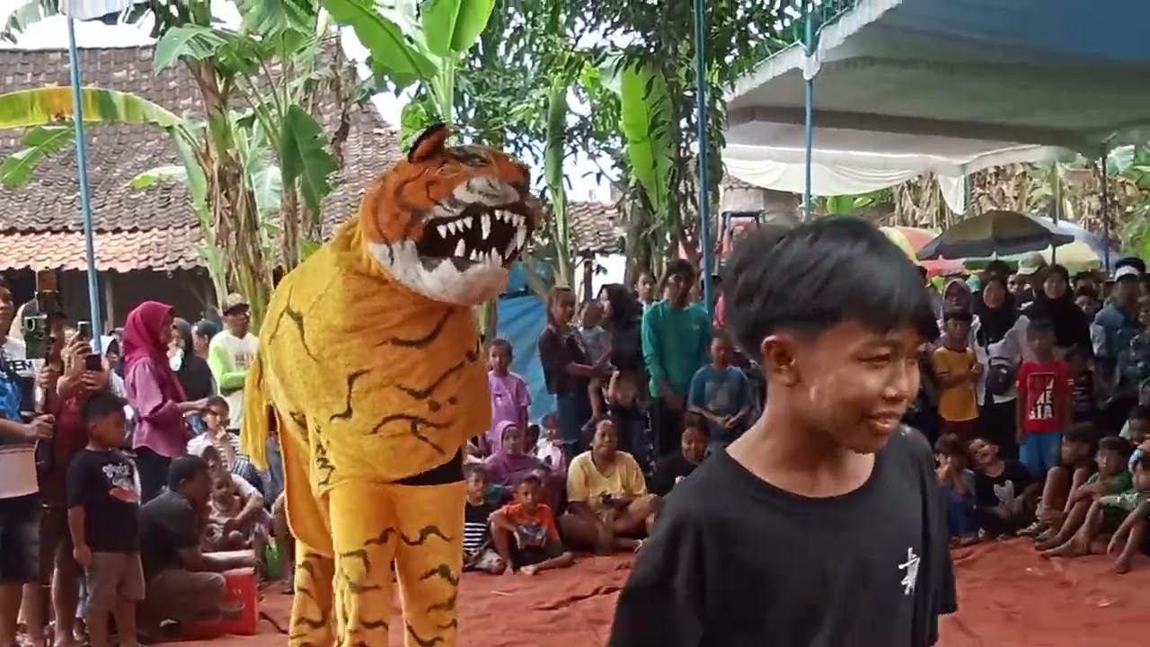 Banteng Macan Taruno Sakti #keseniankendal #singobarongkendal #jaranan #kudalumping #tarunosakti