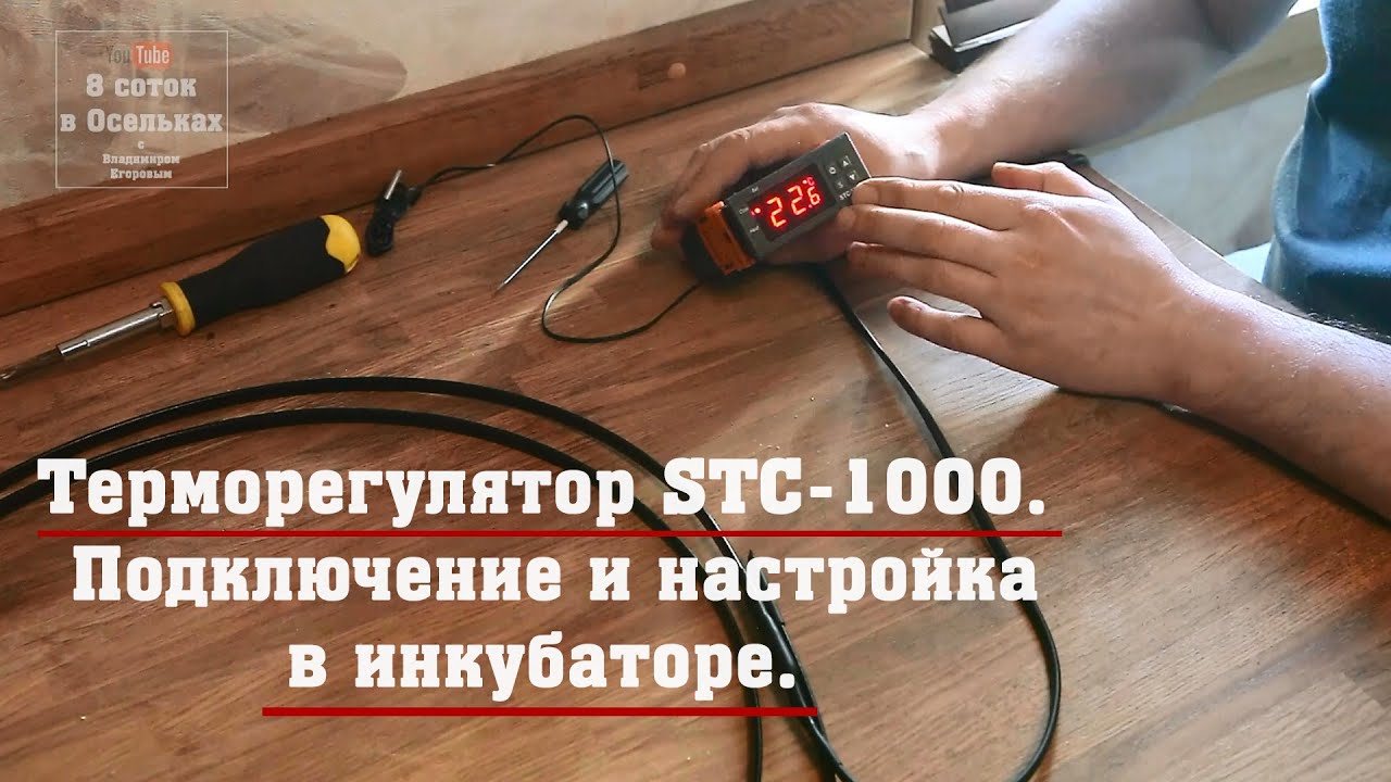 Терморегулятор STC-1000. Подключение и настройка в инкубаторе.