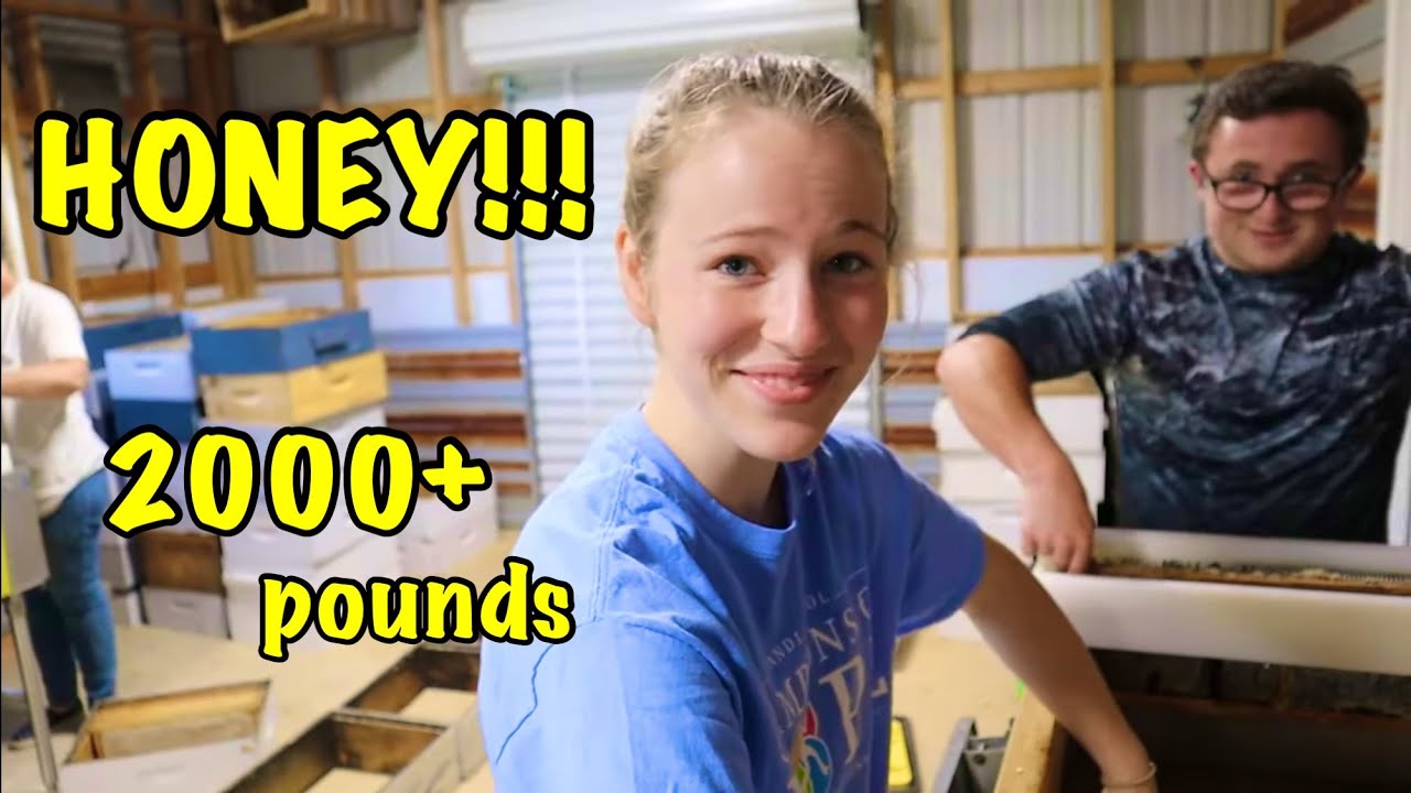 Переработка более 2000 фунтов меда за 6 часов!!!