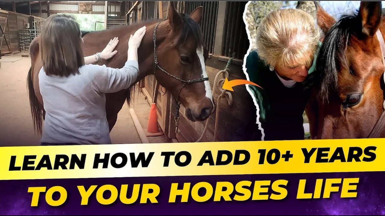 Add 10+ Years To Your Horse's Life & Keep Them Happy, Healthy, Sound & Rideable Through Their 30's!