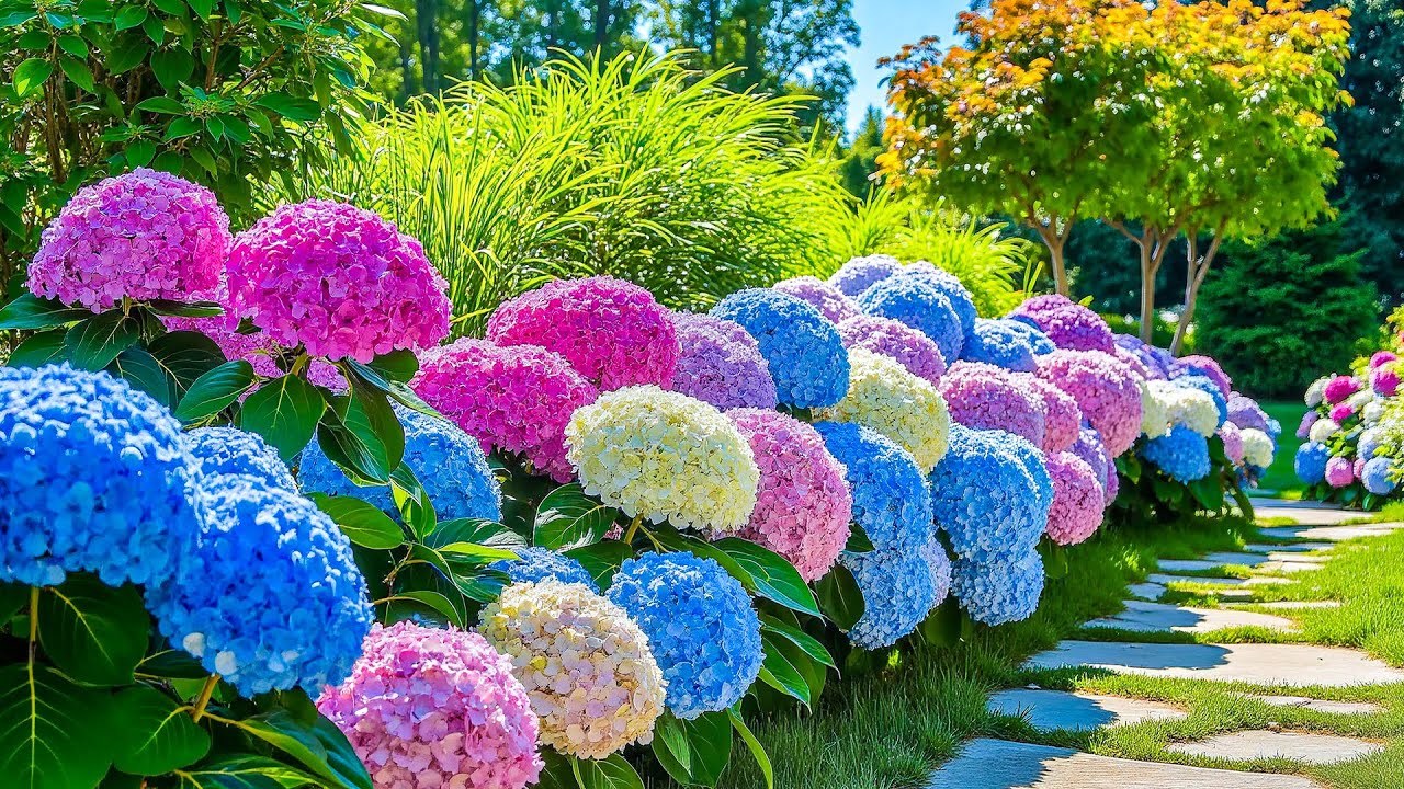 Самый красочный сад в мире: энергия для сердца и души | 🍃 Величайшее творение природы