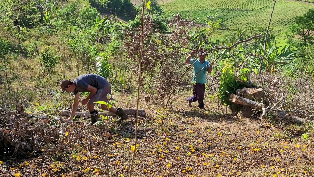 VAI DAR TRABALHO! PREPARANDO A TERRA PARA O PLANTIO DE BATATA DOCE