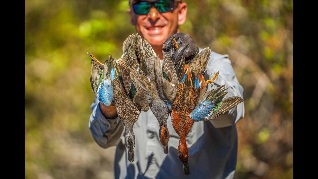 MAZATLAN MEXICO DUCK HUNTING (