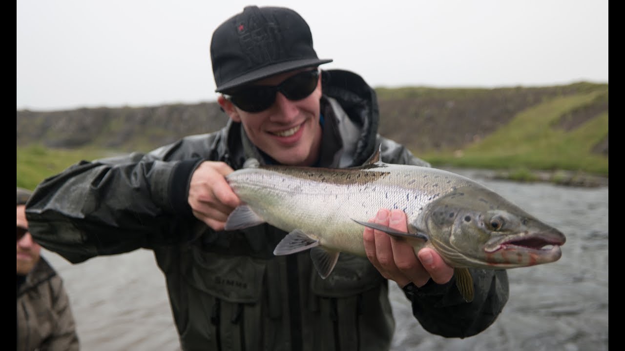 FLY FISHING SALMON // ICELAND