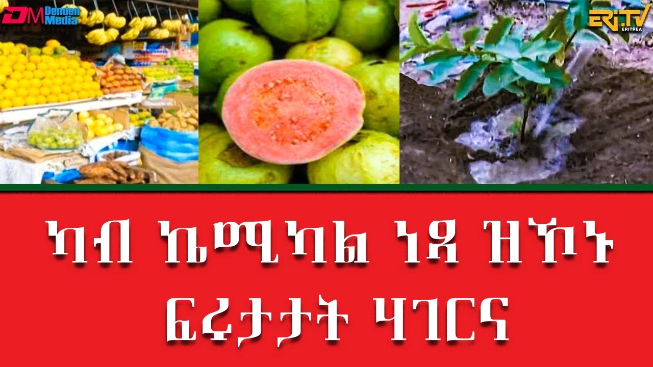 ካብ ኬሚካል ነጻ ዝኾኑ ፍሩታታት ሃገርና | Organic fruits and vegetables in Eritrea - ERi-TV