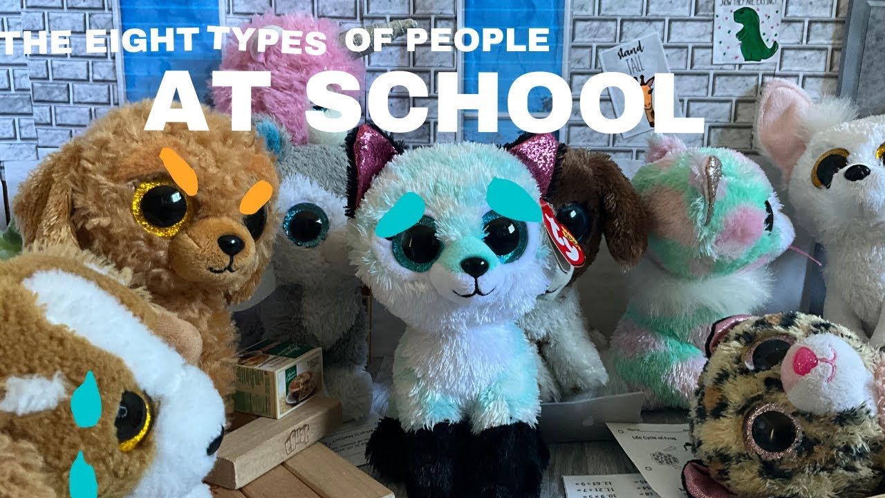 The 8 Types of People at School | A Beanie Boo Skit