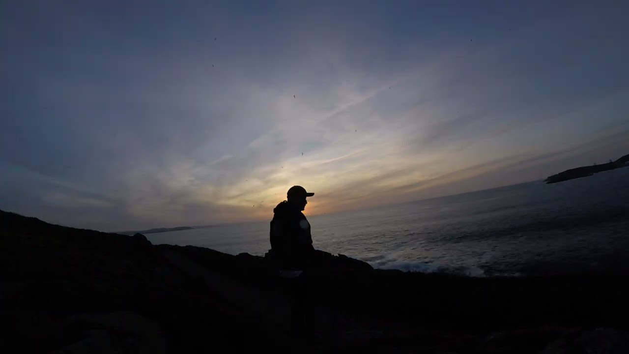 pequeños placeres de la vida