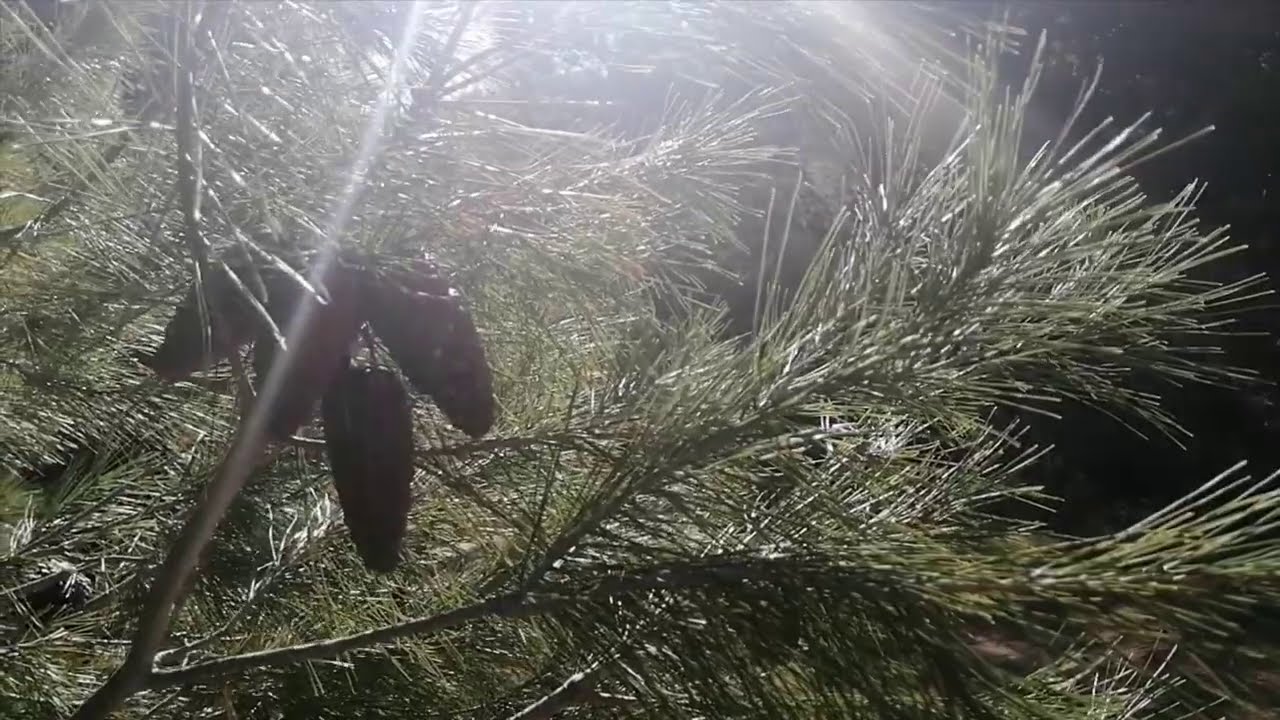 لقد وقعنا في خطأ كبير اثناء الفحص بالاسياخ النحاسيه والسبب عجيب ولكن استطعنا تدارك الخطأ وحله
