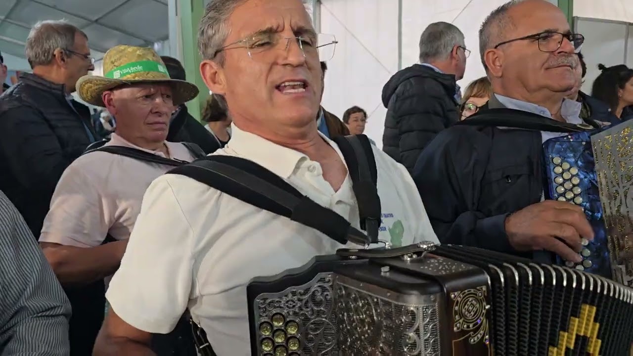 FESTA DAS COLHEITAS EM VILA VERDE 2025