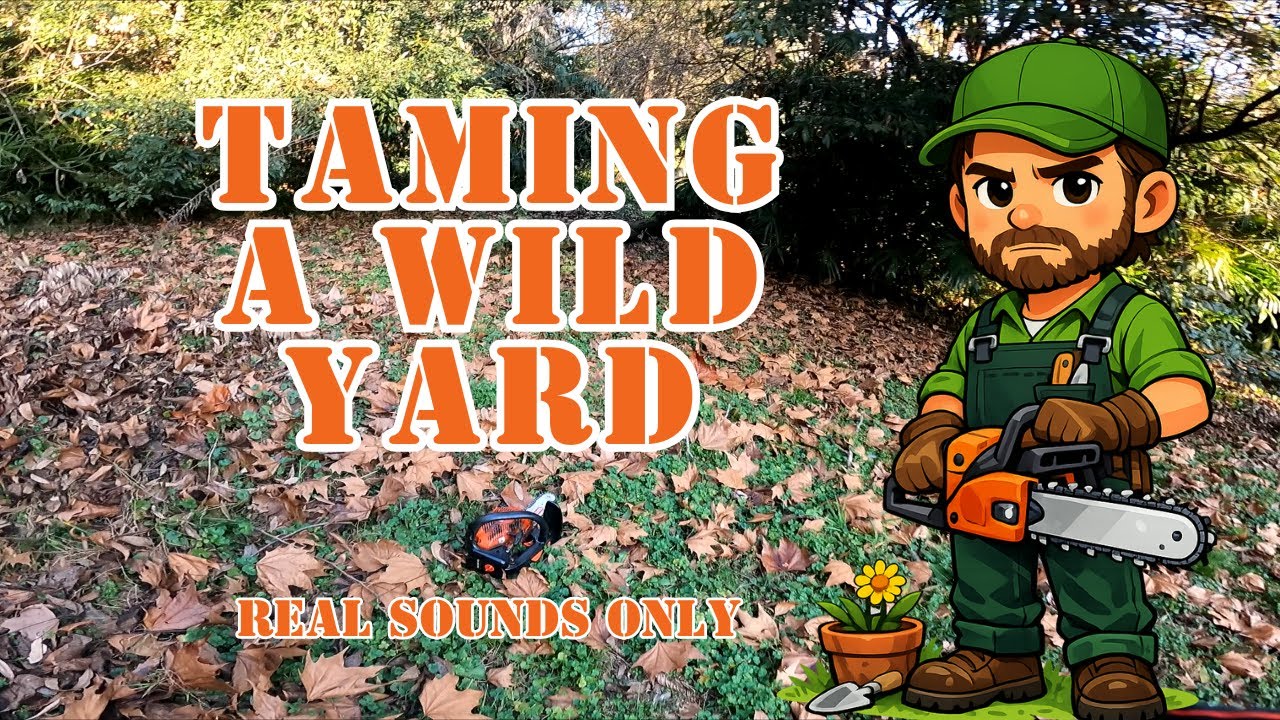 Taming a WILD yard.
