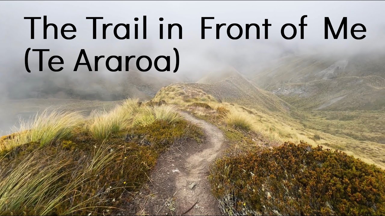 The Trail in Front of Me (Te Araroa)