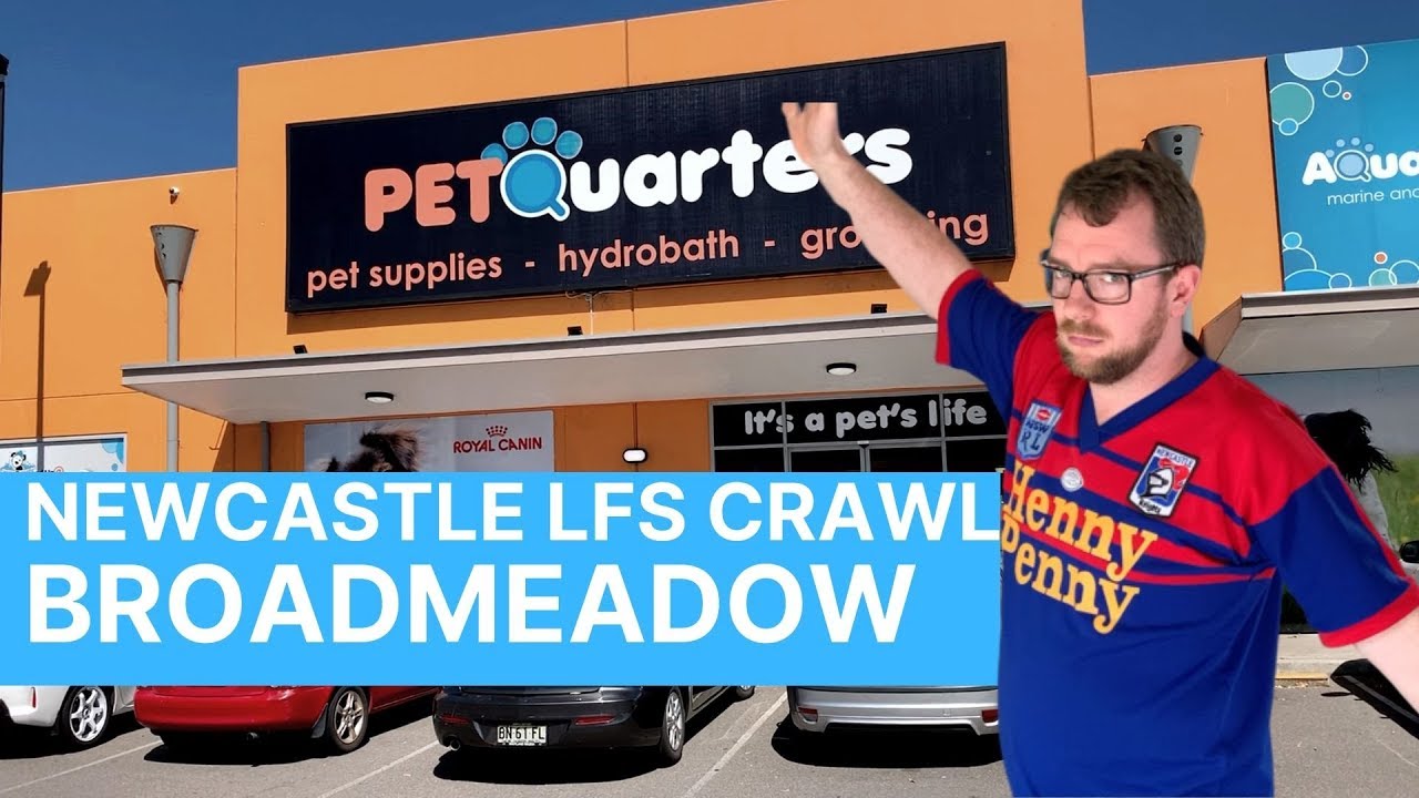 Newcastle LFS Crawl - PetQuarters Broadmeadow