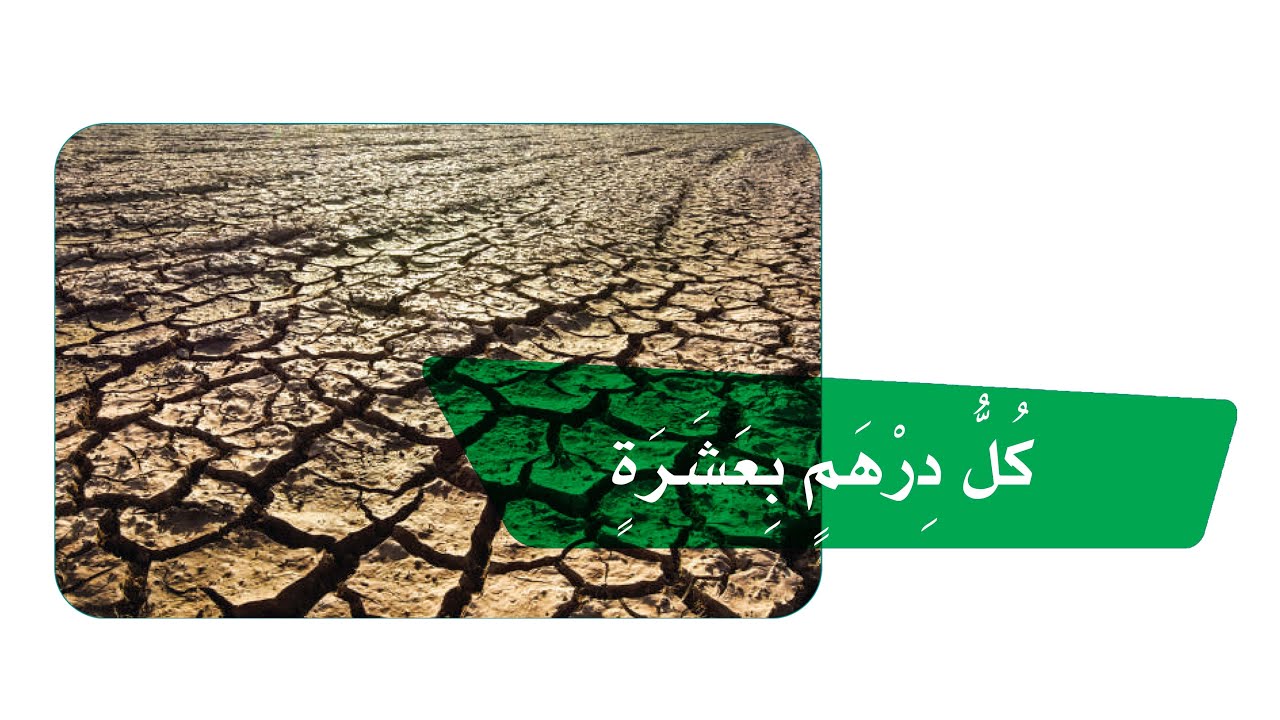درس كل درهم بعشرة  : الصف الثالث إبتدائي  قراءة الطالبة المبدعة رودينا