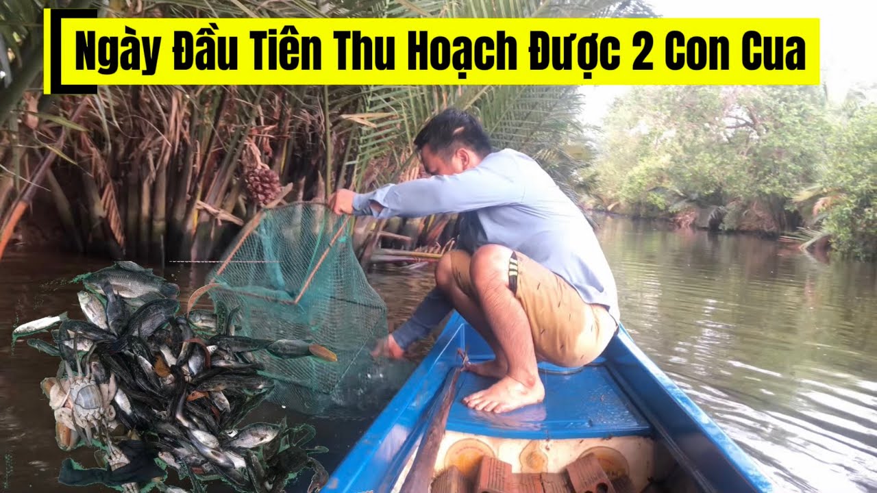 NGÀY ĐẦU TIÊN THĂM LÚ DÂY THU HOẠCH ĐƯỢC 2 CON CUA